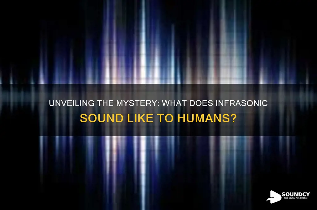 what does infrasonic sound like