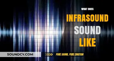 Unheard Yet Felt: Exploring the Elusive Nature of Infrasound