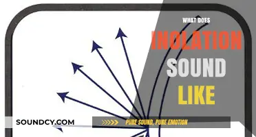 Exploring the Unique Sounds of Inolation: A Sonic Journey