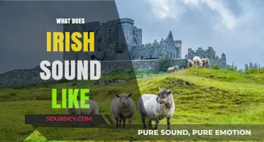 Exploring the Unique Melody and Accent of the Irish Language