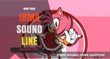 Unveiling Irma's Sonic Signature: A Deep Dive into Her Unique Sound