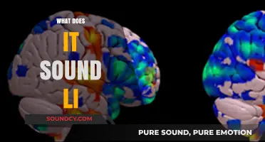 What Does It Sound Like? Exploring the Science of Sound Perception
