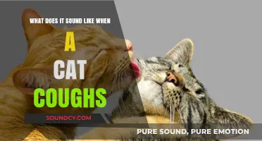 Understanding the Unique Sound of a Cat's Cough: What to Listen For