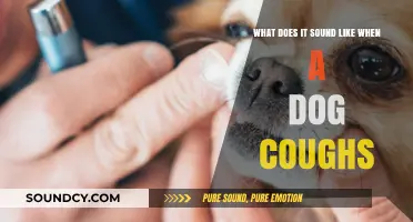 Understanding Your Dog's Cough: Sounds, Causes, and When to Worry
