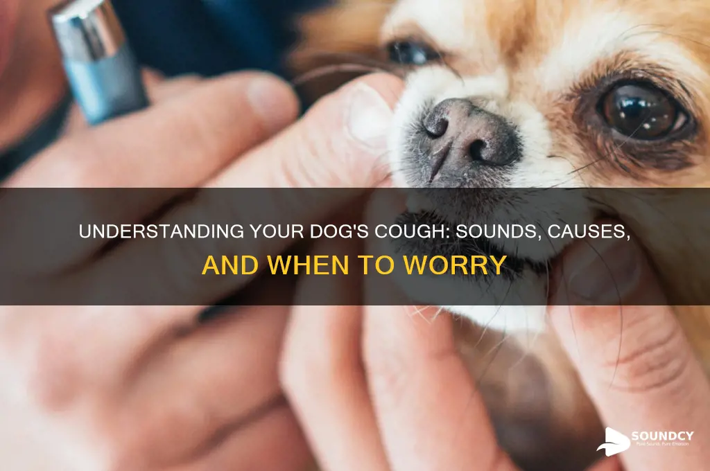 what does it sound like when a dog coughs