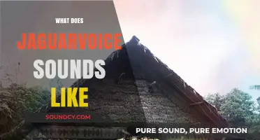Unveiling the Unique and Captivating Sound of JaguarVoice Technology