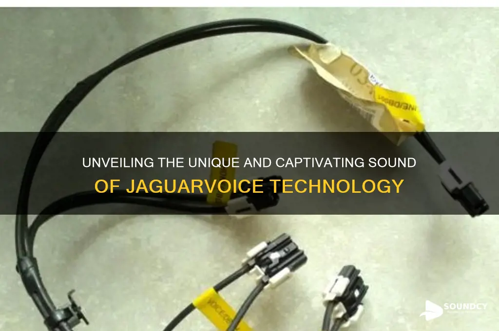 what does jaguarvoice sounds like