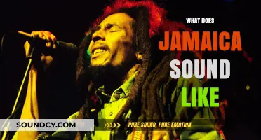 Jamaica's Vibrant Rhythms: A Sonic Journey Through Reggae, Dancehall, and Culture