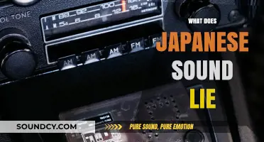 Exploring the Unique Melody and Rhythm of Japanese Speech Patterns