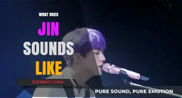 Exploring Jin's Unique Vocal Style: What Does Jin Sound Like?