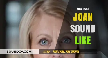 Unveiling Joan's Unique Voice: A Sonic Exploration of Her Sound