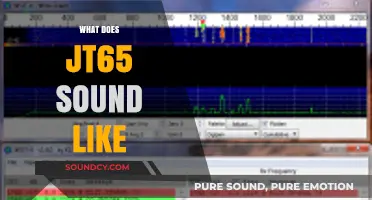 Exploring the Unique Audio Signature of JT65 in Ham Radio