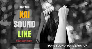 Exploring the Unique Vocal Tone and Style of Kai's Voice