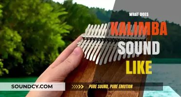 Discover the Unique, Soothing, and Ethereal Sound of the Kalimba