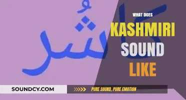 Exploring the Unique Melody and Rhythm of Kashmiri Language Sounds