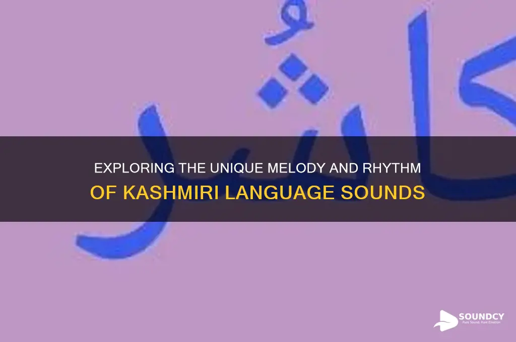 what does kashmiri sound like