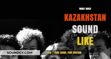 Exploring Kazakhstan's Unique Soundscape: Music, Language, and Cultural Echoes