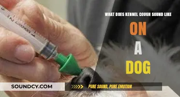 Kennel Cough in Dogs: Identifying the Distinctive Sound and Symptoms