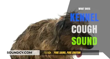 Kennel Cough Sound: Identifying the Distinctive Honking Noise in Dogs