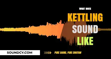 The Sonic Experience of Kettling: Unraveling Its Unique Acoustic Signature