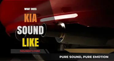 Decoding the Unique Engine and Exhaust Notes of Kia Vehicles