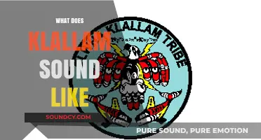 Exploring the Unique Phonetics and Melody of the Klallam Language