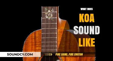Exploring the Unique, Soothing, and Melodic Sounds of Koa Music