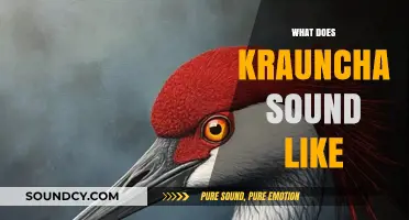 Unveiling the Mystical Krauncha Sound: A Journey into Ancient Echoes
