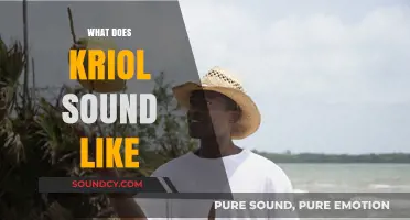 Exploring Kriol's Unique Sounds: A Dive into Its Phonetics and Rhythms