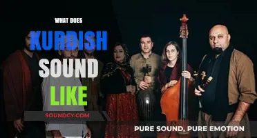 Exploring the Unique Melodies and Rhythms of the Kurdish Language
