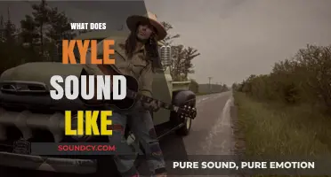 Unveiling Kyle's Voice: A Deep Dive into His Unique Sound