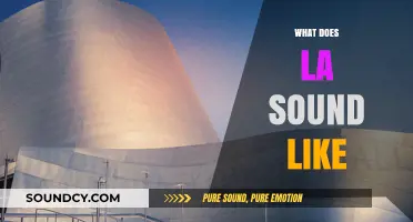 The Vibrant Soundscape of LA: A City's Unique Audio Identity