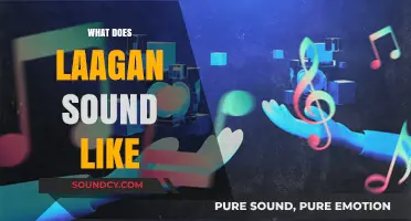 Unraveling the Unique Soundscape of Laagan: A Musical Exploration