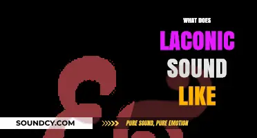 Unraveling Laconic Speech: Its Tone, Style, and Concise Impact Explained