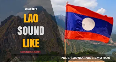 Exploring the Unique Tones and Melodies of the Lao Language