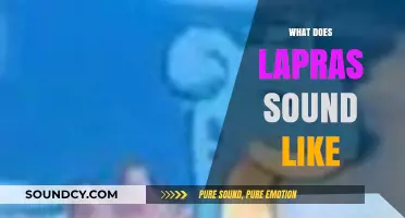 Exploring the Unique Vocalizations: What Does Lapras Sound Like?