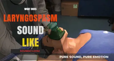 Understanding Laryngospasm: What It Sounds Like and How to Identify It
