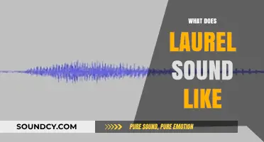 What Does Laurel Sound Like? Decoding the Viral Audio Illusion