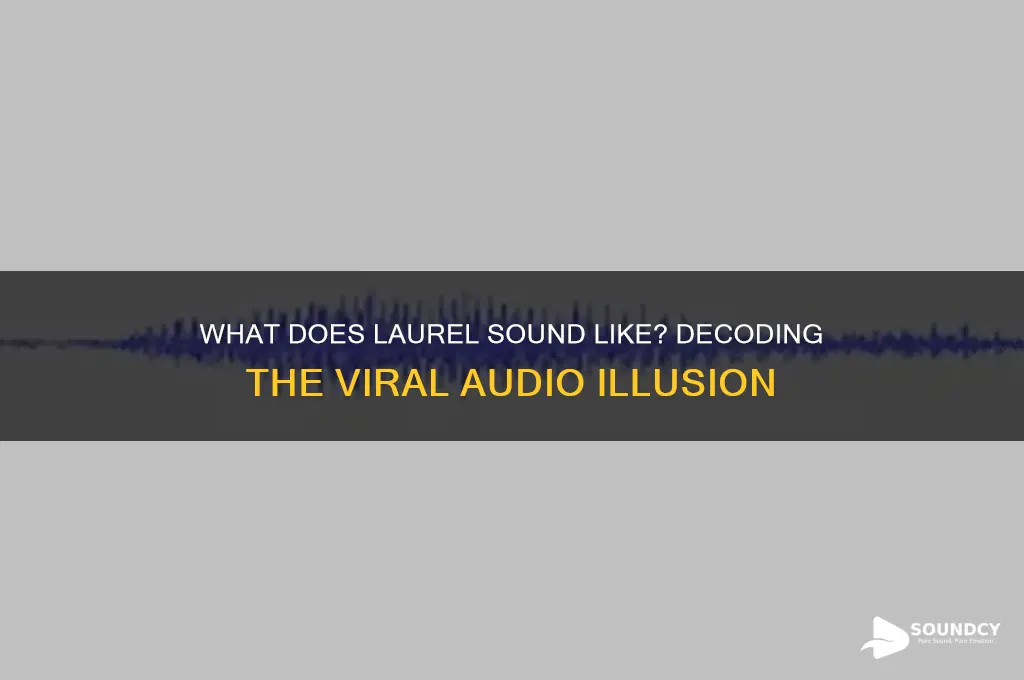 what does laurel sound like
