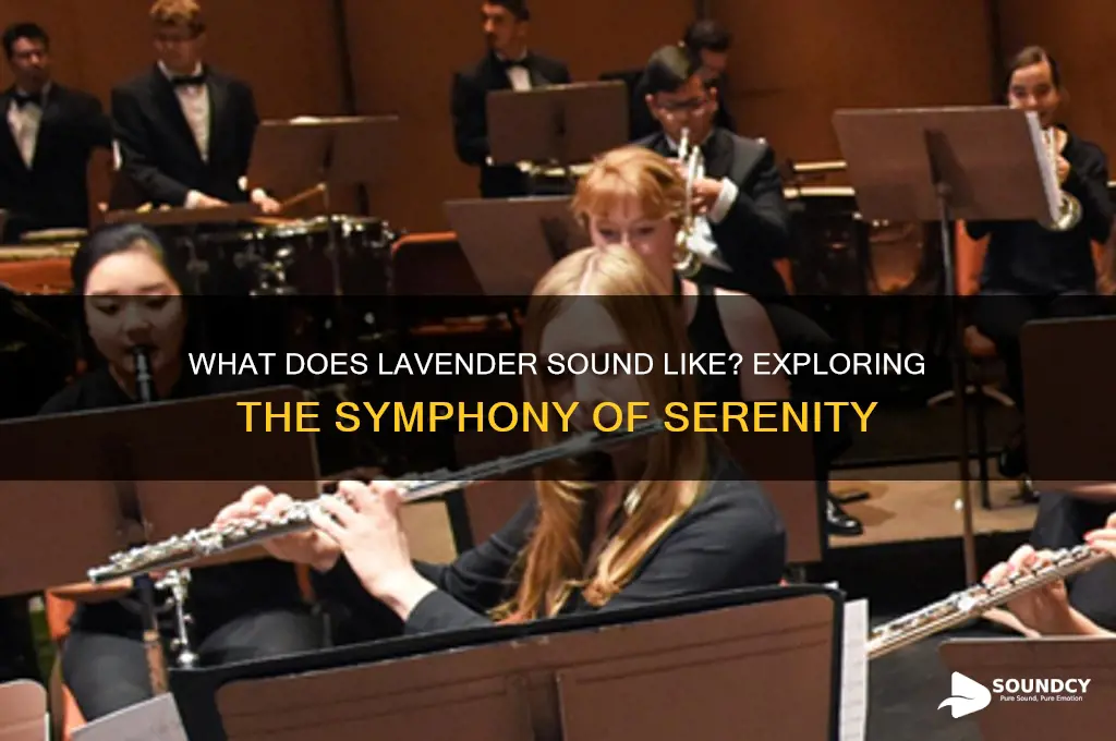 what does lavender sound like