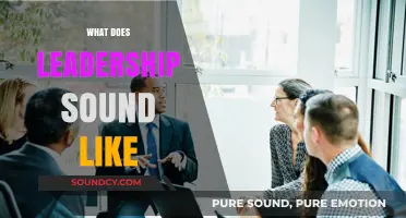 The Voice of Leadership: Uncovering the Sounds of Effective Guidance