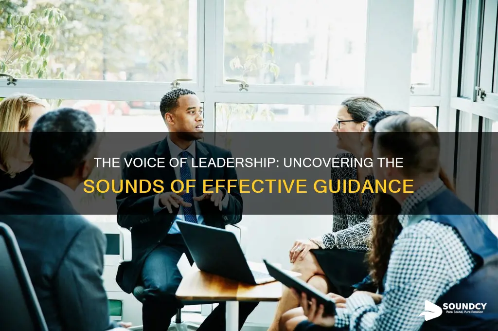 what does leadership sound like