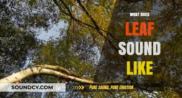 Exploring the Unique Sounds of Leaves: Nature's Whispers and Rustles