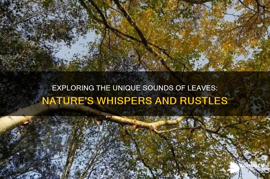 what does leaf sound like