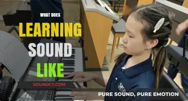 What Does Learning Sound Like: Exploring the Symphony of Knowledge Acquisition