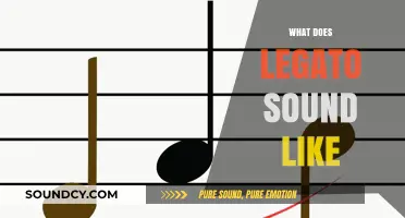 Understanding Legato: Smooth, Connected Notes and Their Distinctive Sound
