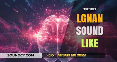 Exploring the Unique Sonic Qualities of Lignan: What Does It Sound Like?