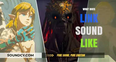 Unveiling Link's Iconic Voice: Exploring the Sounds of Hyrule's Hero