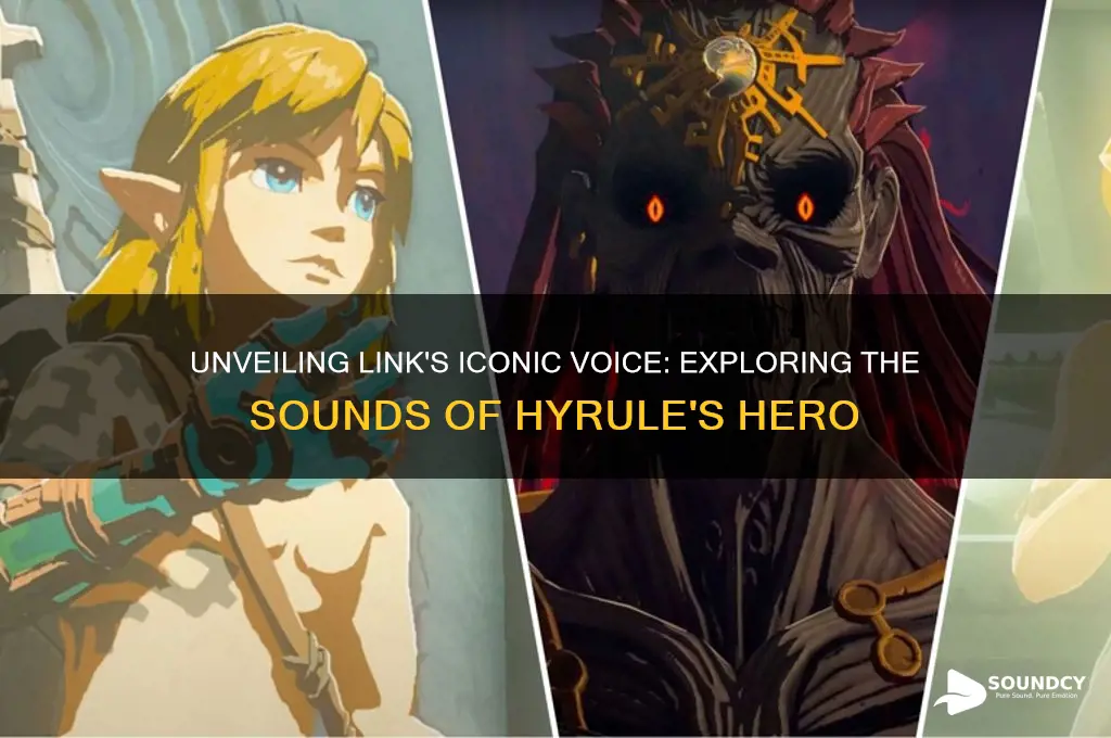 what does link sound like