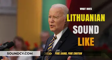 Exploring the Unique Melody and Rhythm of Lithuanian Speech
